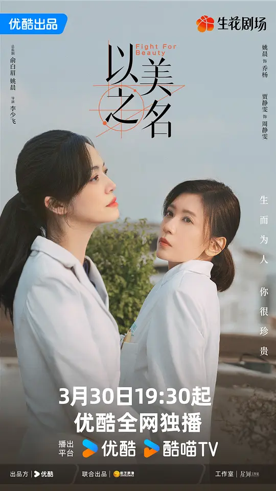 【国剧】以美之名（2025）4K超高清 剧情  夸克UC网盘