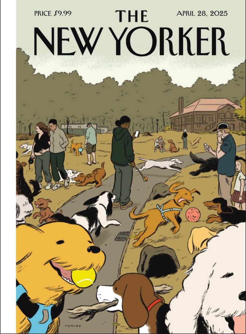【杂志】纽约客 The New Yorker-28.04.2025 PDF