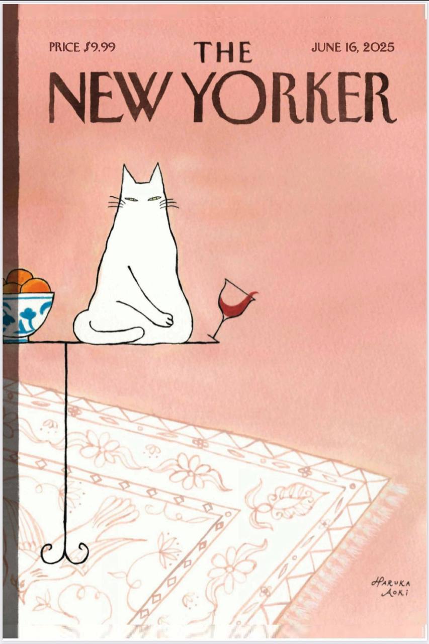 【杂志】纽约客 The New Yorker-16.06.2025 PDF