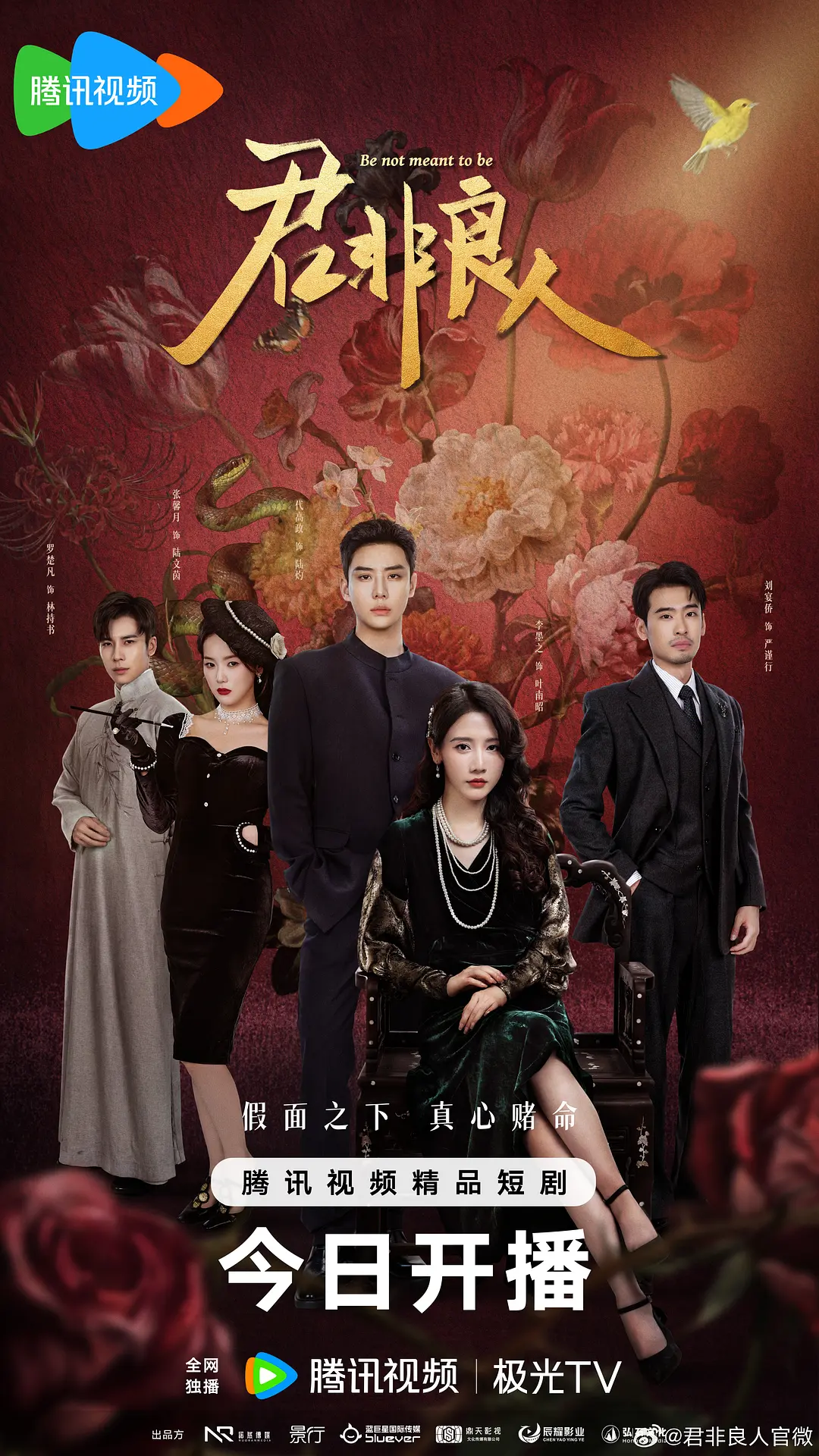 【国剧】君非良人 (2025) 4K超高清 剧情/爱情 夸克UC网盘