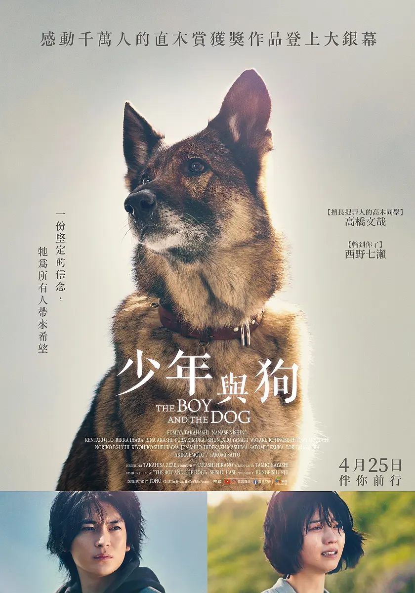 【电影】少年与犬 (2025) 1080P高清 剧情 日语中字 夸克百度迅雷UC网盘