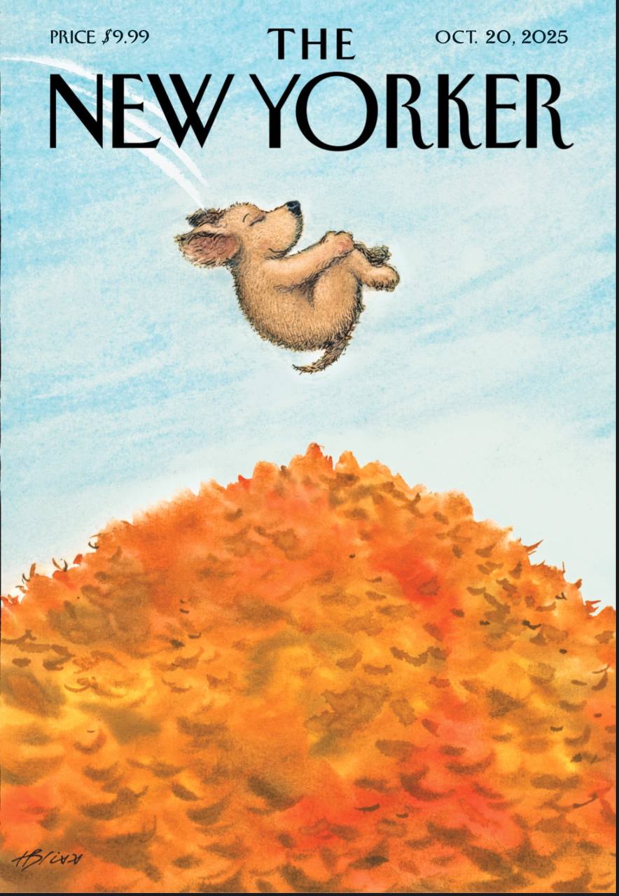 【杂志】纽约客 The New Yorker-20.10.2025 PDF