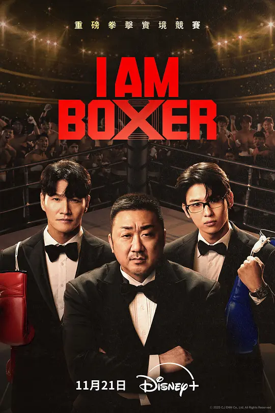 【综艺】拳王争霸 I Am Boxer (2025) 1080P高清 真人秀 韩语中字 夸克百度迅雷UC网盘