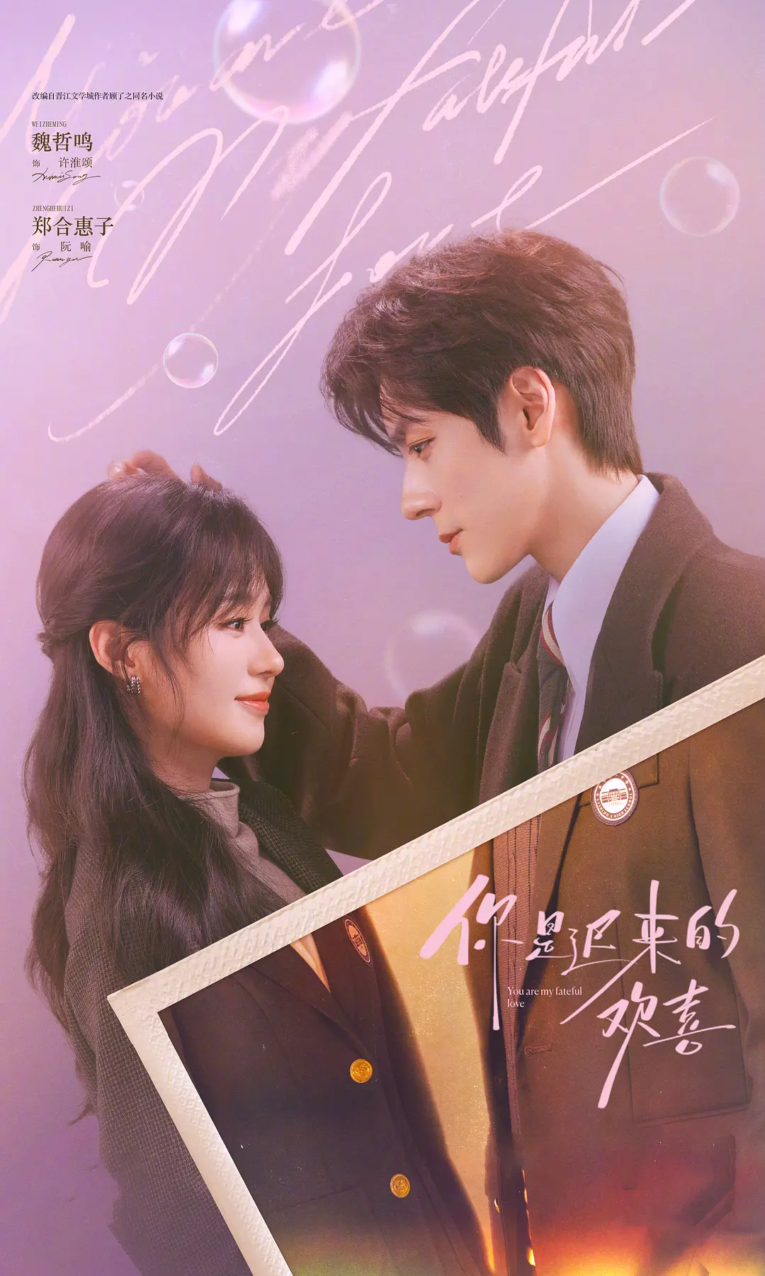 【国剧】你是迟来的欢喜 (2026) 4K超高清 爱情 国语中字 夸克百度UC网盘